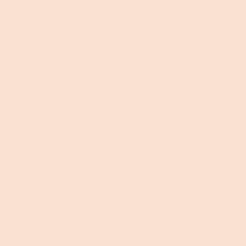 Hydra Nude Concealer - Image 4