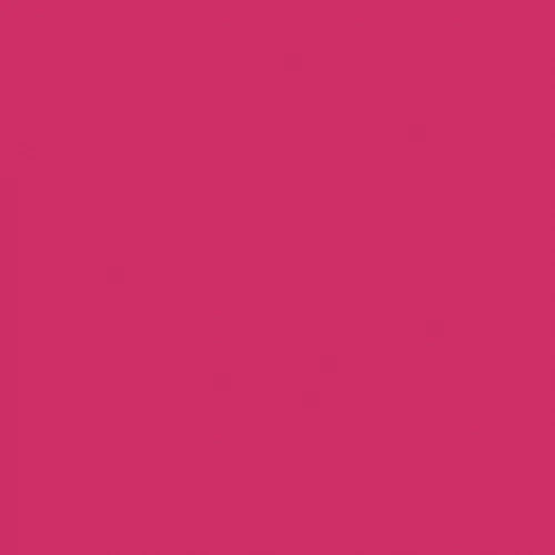 Plumping Kiss Lipgloss - Image 40
