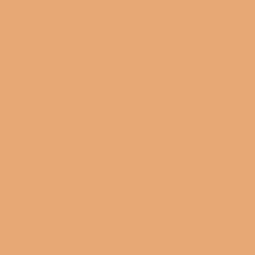 Ultimate Cover Concealer - Image 18