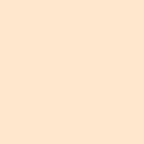 Ultimate Cover Concealer - Image 3